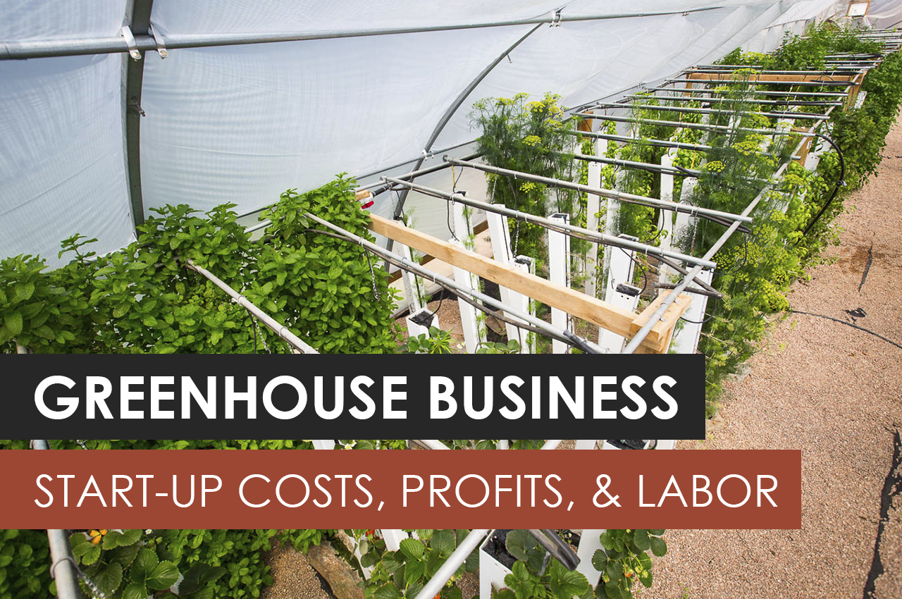 starting a commercial greenhouse business plan